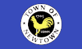Flag of Newtown, Connecticut