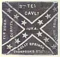 First flag of the 9th Texas Cavalry Regiment
