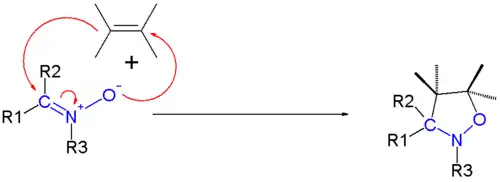 Nitrone cycloadditions
