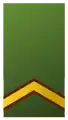 Sergeant (Suriname Army)[95]