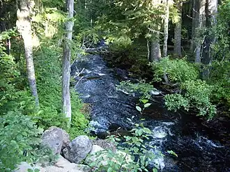 View of tributary from road to Breitenbush Lake of North Fork Of North Fork of Breitenbush River