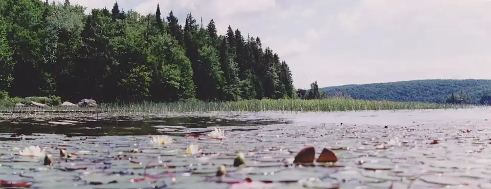 Between Lake Montauban and Lake Long, Rivière-à-Pierre