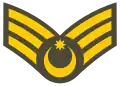 Baş gizir (Azerbaijani Land Forces)[2]