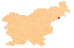 Location of the Municipality of Cirkulane in Slovenia