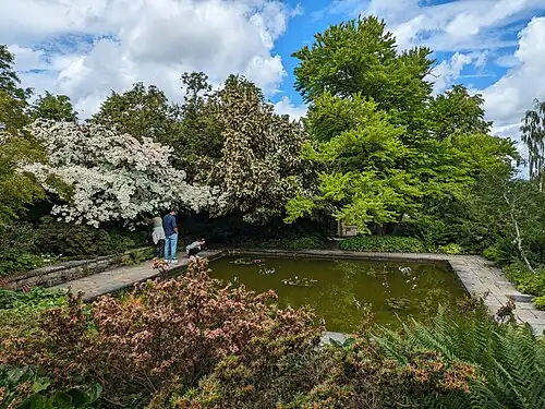 The Oberdieck Garden, May 2024