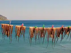 Octopus being sun-dried in Greece