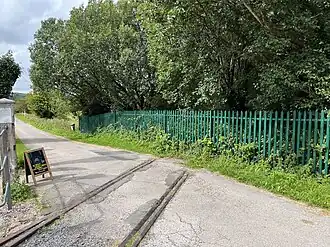 An image of a single railway line still set into the tarmac of a road, disappearing into a wooded area