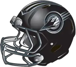 Team helmet