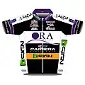 Ora Hotels–Carrera jersey