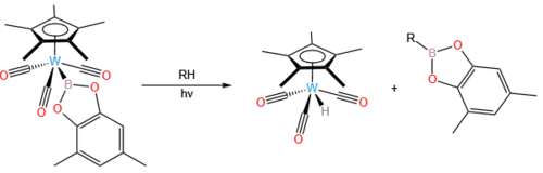 C-H bond activation via an organotungsten complex