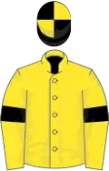 Yellow, large black spots and armlets, black and yellow quartered cap
