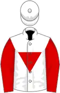 White, red inverted triangle and sleeves