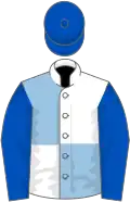 White and light blue (quartered), royal blue sleeves and cap