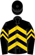 Black, gold chevrons