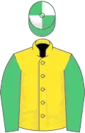 Yellow, emerald green sleeves, emerald green and white quartered cap
