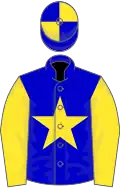 Blue, yellow star and sleeves, quartered cap