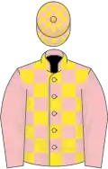 Pink and Yellow check, Pink sleeves