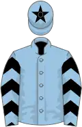 Light blue, black chevrons on sleeves, star on cap