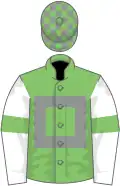 Light green, grey hollow box, white sleeves, light green armlets, light green and grey check cap