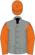 Grey, orange sleeves and cap