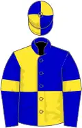 Blue and yellow (quartered), blue sleeves, yellow armlets, quartered cap