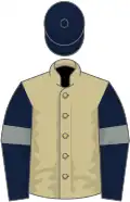 Beige, dark blue sleeves, grey armlets, dark blue cap