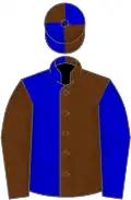 Brown and blue (halved), reversed sleeves, quartered cap