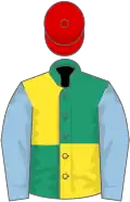 Emerald green and yellow (quartered), light blue sleeves, red cap
