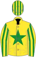 Yellow, green star, striped sleeves, striped cap