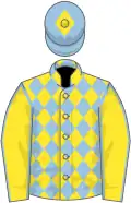Yellow, light blue diamonds, light blue seams on sleeves, light blue cap, yellow diamond