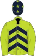 Lime green, dark blue chevrons, lime green sleeves, dark blue cap, lime green stars