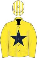 Yellow, dark blue star, yellow and white striped cap