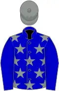 Blue, grey stars on body, blue cap