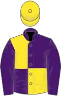 Purple and yellow quartered, purple sleeves, yellow cap