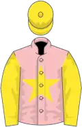 Pink, yellow star, sleeves and cap