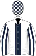 White, dark blue stripe, striped sleeves, check cap