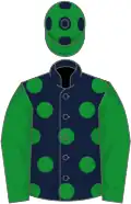 Dark blue, green spots and sleeves, green cap, blue spots