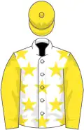 White, yellow stars, sleeves and cap