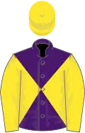Purple and yellow Diablo, yellow sleeves and cap