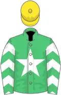 Emerald green, white star, white chevrons on sleeves, yellow cap