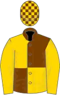 Chocolate and gold (quartered), gold sleeves, check cap