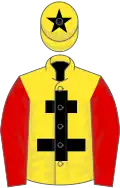 Yellow, black cross of lorraine, red sleeves, yellow cap, black star