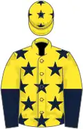 Yellow, dark blue stars, halved sleeves