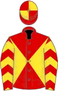 Red and yellow diabolo, chevrons on sleeves, quartered cap