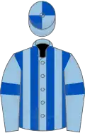 Light blue and royal blue stripes, light blue sleeves, royal blue armlets, quartered cap