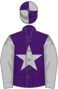 Purple, silver grey star and sleeves, quartered cap