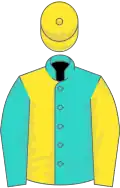 Turquoise and yellow (halved), reversed sleeves, yellow cap
