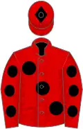 Red, large black spots, black spots on sleeves, black diamond on cap