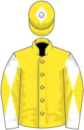 Yellow, white sleeves, yellow diabolo, yellow cap, white diamond