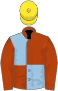 Rust and light blue (quartered), rust sleeves, yellow cap